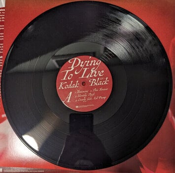 Грамофонна плоча Kodak Black - Dying To Live (2 LP) - 3