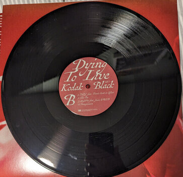 Грамофонна плоча Kodak Black - Dying To Live (2 LP) - 4
