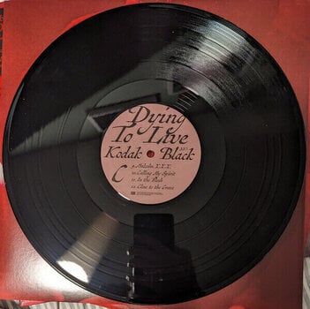 Грамофонна плоча Kodak Black - Dying To Live (2 LP) - 5