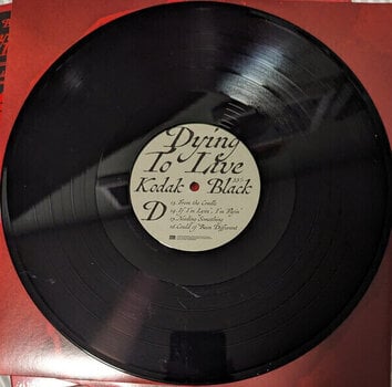 Грамофонна плоча Kodak Black - Dying To Live (2 LP) - 6