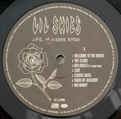 LP ploča Lil Skies - Life Of A Dark Rose (LP) - 2