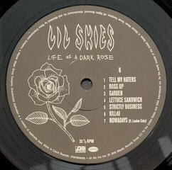LP ploča Lil Skies - Life Of A Dark Rose (LP) - 3