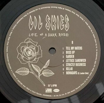 LP ploča Lil Skies - Life Of A Dark Rose (LP) - 4