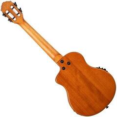 Тенор укулеле Ortega RTPX-U-FMA Flamed Maple Blue Тенор укулеле - 1