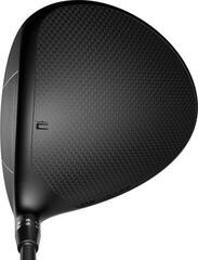 Golfmaila - Draiveri Cobra Golf DS-ADAPT X Oikeakätinen 10,5° Regular Golfmaila - Draiveri - 4