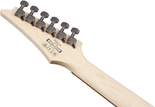 E-Gitarre Ibanez RG421PB-CHF Caribbean Shoreline Flat E-Gitarre - 9