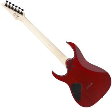 E-Gitarre Ibanez RG421PB-CHF Caribbean Shoreline Flat E-Gitarre - 3