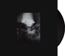 LP deska Common Eider, King Eider - A Wound Of Body (LP) - 1