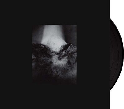 Disque vinyle Common Eider, King Eider - A Wound Of Body (LP) - 2