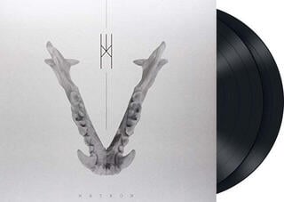 LP ploča The Crown - Natron (2 LP) - 1