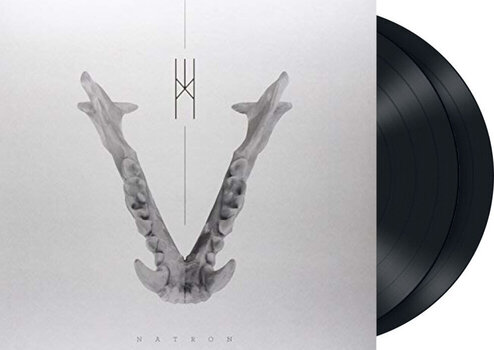 LP ploča The Crown - Natron (2 LP) - 2