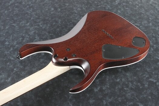 Elektrická kytara Ibanez RGA42FM-DEF Dragon Eye Burst Flat Elektrická kytara - 5