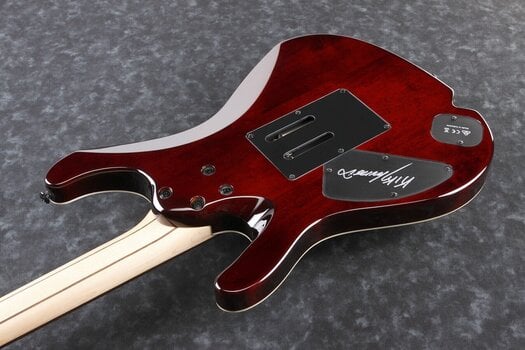 Elektrisk guitar Ibanez KIKO10BP-TGB Transparent Grey Burst Elektrisk guitar - 3