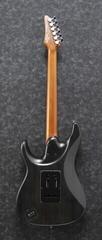 Električna gitara Ibanez EH10-TGM Transparent Green Matte Električna gitara - 1