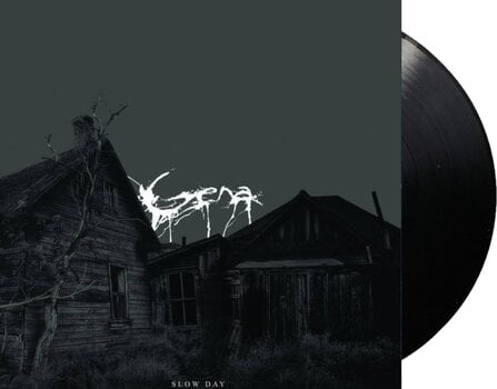Disque vinyle Gena - Slow Day (LP) - 2