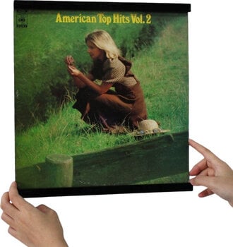 Wall Mounted Vinyl Records Holder Muziker MUZR65G Wall Mounted Vinyl Records Holder - 7
