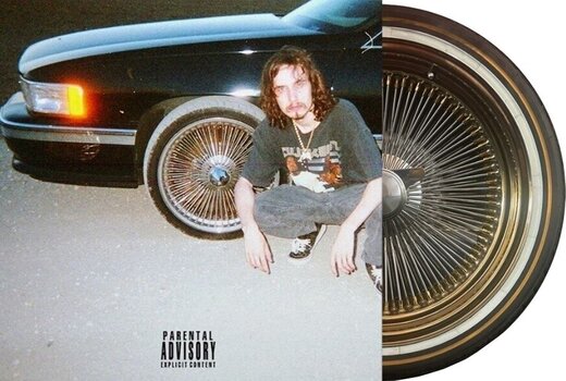 LP deska Pouya - Five Five (Picture Disc) (LP) - 2