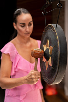 Gong Meinl Sonic Energy Thai Gong 16" - 5