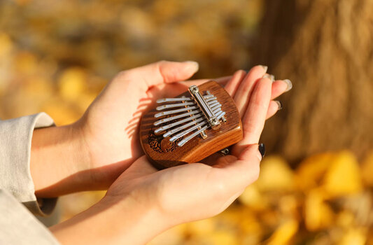 Kalimba Meinl "Tree of Life" Mini Black Walnut Kalimba - 6