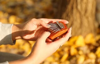 Kalimba Meinl "Flower of Life" Mini Red Zebrawood Kalimba - 6