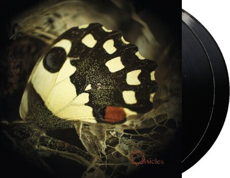 Vinüülplaat Ossicles - Music For Wastelands (2 LP) - 2