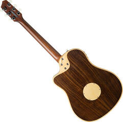 Guitarra electro-acústica L.R. Baggs AEG-1 Torrefied Guitarra electro-acústica - 1