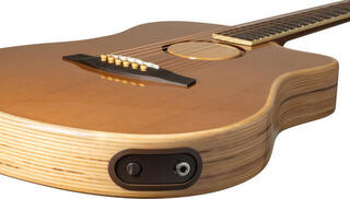 Guitarra electro-acústica L.R. Baggs AEG-1 Torrefied Guitarra electro-acústica - 3