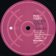Vinyl Record Pink Floyd - Delicate Sound Of Thunder (180g) (3 LP) - 2