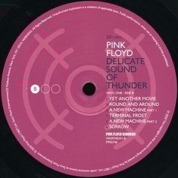 Hanglemez Pink Floyd - Delicate Sound Of Thunder (180g) (3 LP) - 4