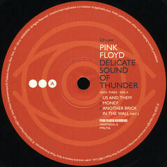 Vinyl Record Pink Floyd - Delicate Sound Of Thunder (180g) (3 LP) - 6