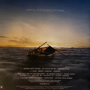 Disco de vinil Pink Floyd - Endless River (180g) (2 LP) - 7