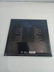 LP deska Sleep Token - This Place Will Become Your Tomb (2 LP) (Pouze rozbaleno) - 3