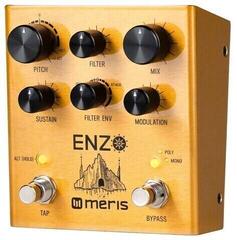 Effet guitare Meris Enzo Effet guitare - 3