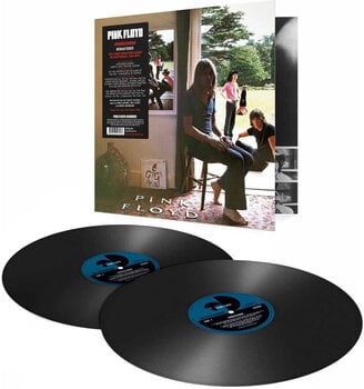 Schallplatte Pink Floyd - Ummagumma (2 LP) - 2