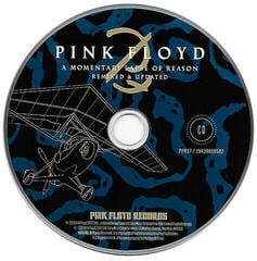 Muzyczne CD Pink Floyd - A Momentary Lapse Of Reason (Booklet) (CD) - 1
