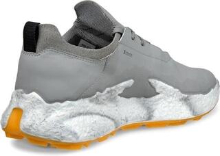 Herren Golfschuhe Ecco Biom H5 Wild Dove - 2