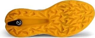 Men's golf shoes Ecco Biom H5 Wild Dove - 3