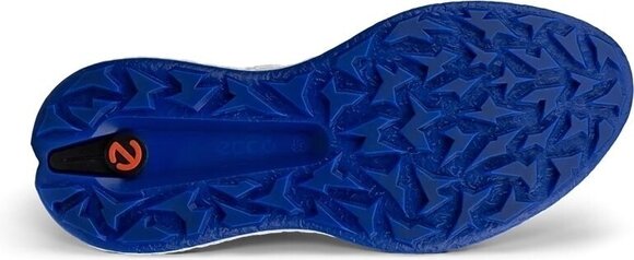 Pánské golfové boty Ecco Biom H5 White/Virtual 39 Pánské golfové boty - 4