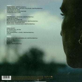 Vinylskiva Celine Dion - Je Suis : Céline Dion (Bande Originale Du Film) (French Edition) (2 LP) - 3