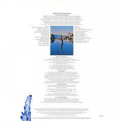 Грамофонна плоча Pink Floyd - Wish You Were Here (180 g) (LP) - 5