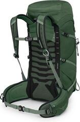 Lifestyle Backpack / Bag Osprey Talon Backpack Green Canopy 33 L - 1