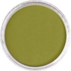Сух пастел PanPastel Artists’ Сух пастел 680.3 Bright Yellow Green Shade 1 бр. - 1