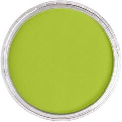 Droge pastel PanPastel Artists’ Droogpastel 680.5 Bright Yellow Green 1 stuk - 1