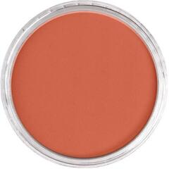 Soft Pastel PanPastel Artists’ Soft Pastel 931.5 CoArtists’ Painting Pasteler 1 pc - 1