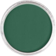 Suh pastel PanPastel Artists’ Suhi pastel 580.1 Turquoise Extra Dark 1 kos - 1