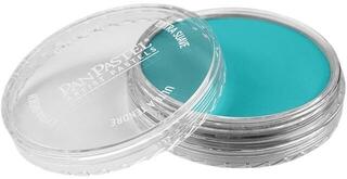 Suh pastel PanPastel Artists’ Suhi pastel 580.5 Turquoise 1 kos - 2