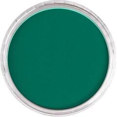 Myk pastell PanPastel Artists’ Painting Pastel 620.5 Phthalo Green - 1