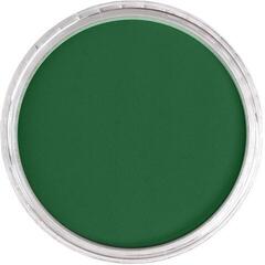 Suh pastel PanPastel Artists’ Suhi pastel 640.1 Permanent Green Extra Dark 1 kos - 1