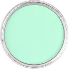 Trockenes Pastell PanPastel Artists’ Trockenpastell 956.5 Pearlescent Green 1 stk - 1