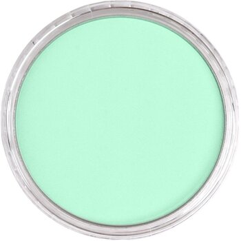 Suhi pastel PanPastel Artists’ Suhi pastel 956.5 Pearlescent Green 1 kom - 2